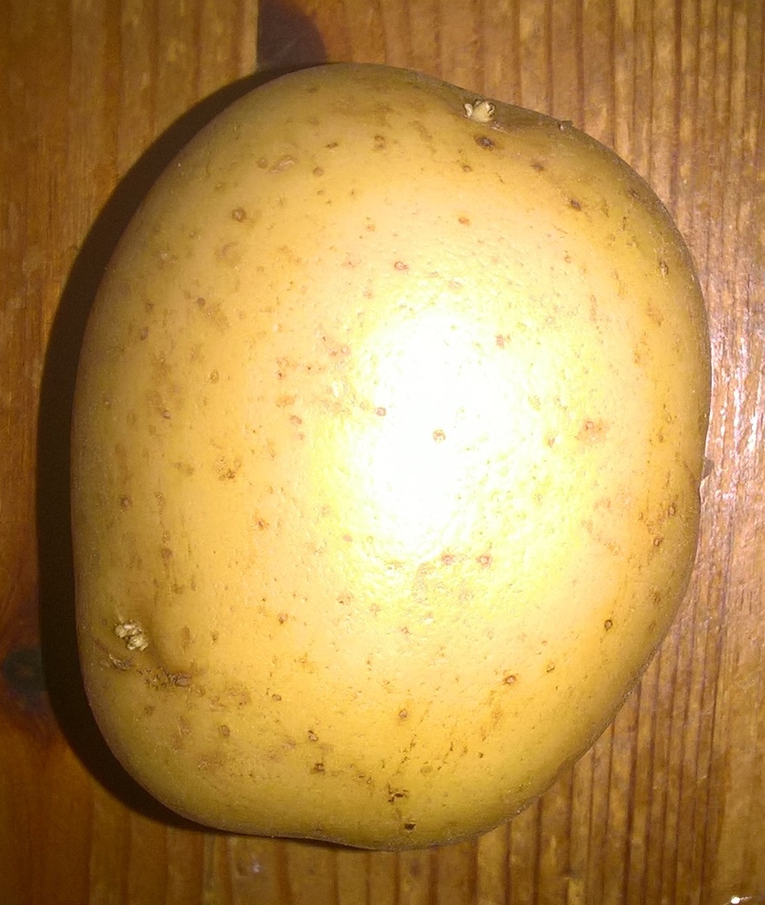 One small potato